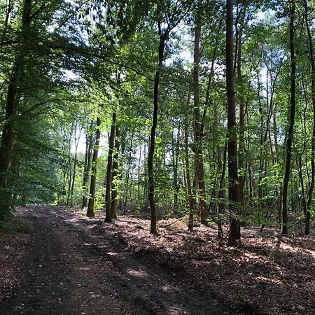 Huisjes Putten Reewold Chalet In Rustige En Mooie Omgeving Kültér fotó