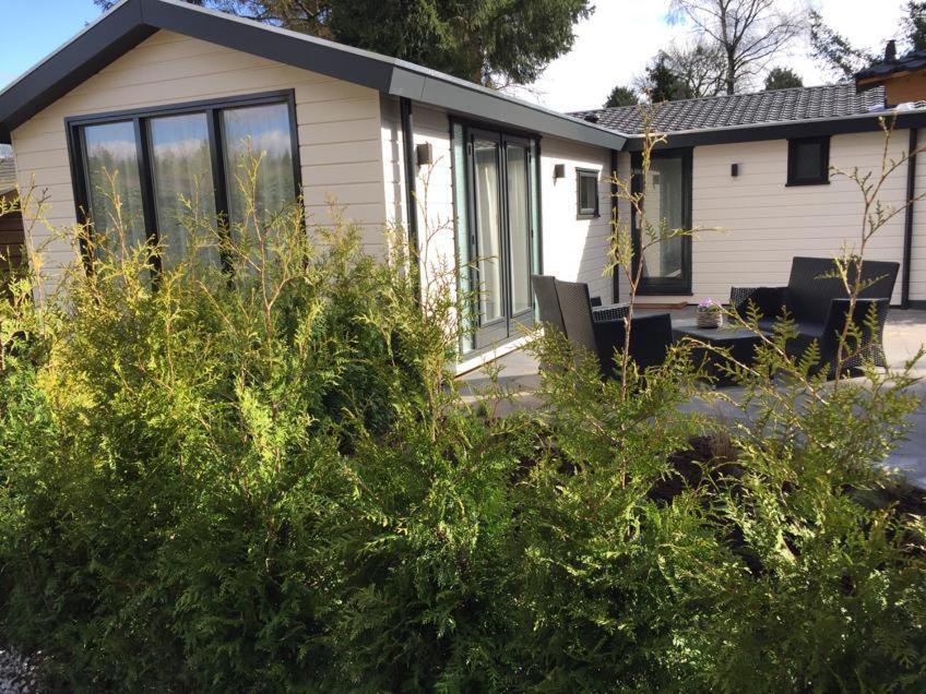 Huisjes Putten Reewold Chalet In Rustige En Mooie Omgeving Kültér fotó